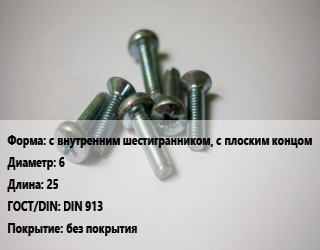 Винт с внутренним шестигранником, с плоским концом 6х25 DIN 913 без покрытия